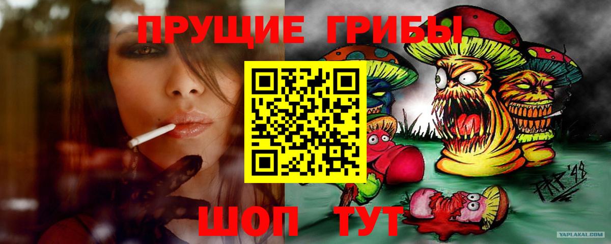 Галлюциногенные грибы ЛСД Кондопога