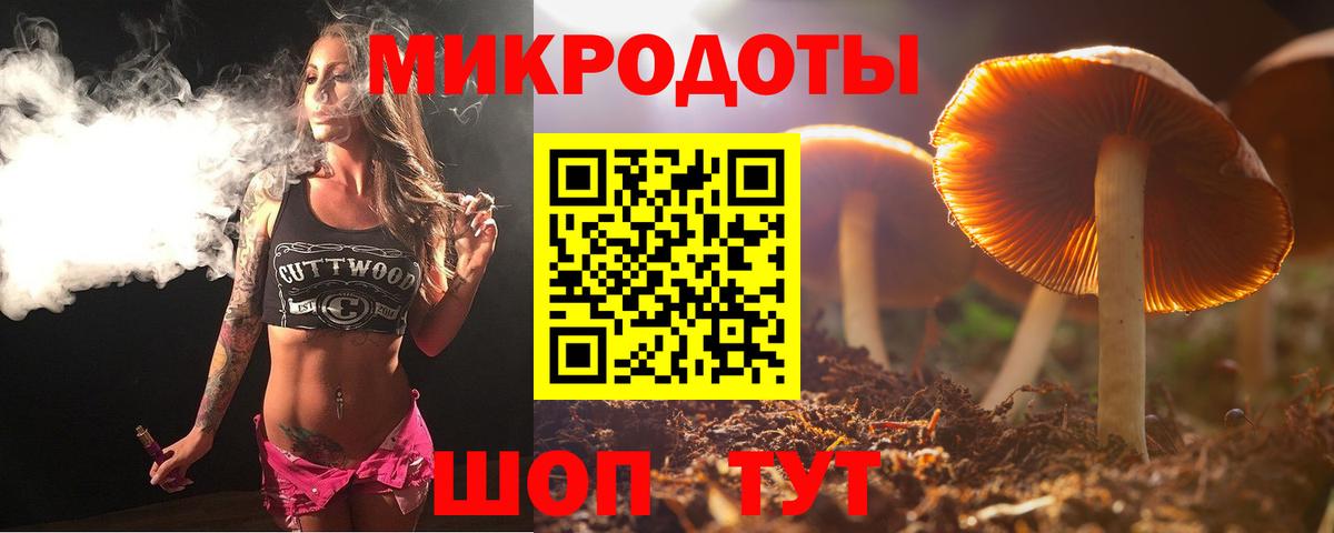 цена наркотик  Вход с VPN  Кондопога  Псилоцибиновые грибы Psilocybe 